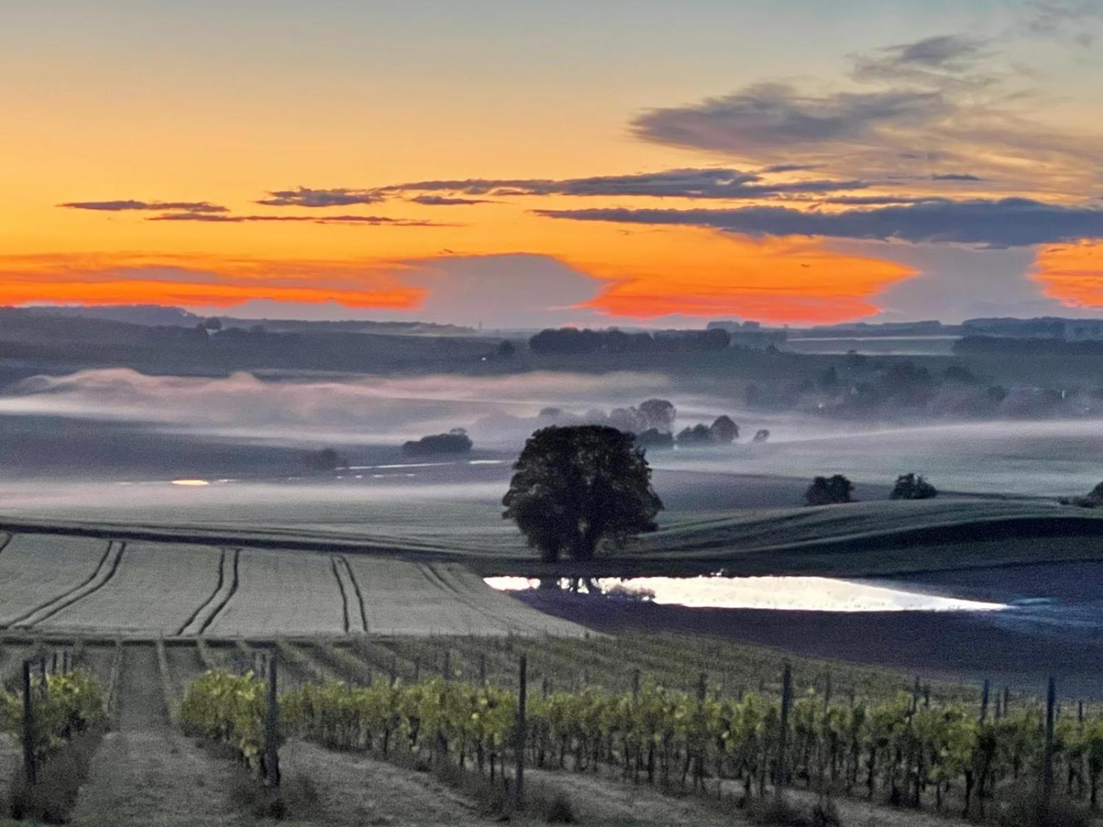 Paradis Des Vignes Birac  Номер фото