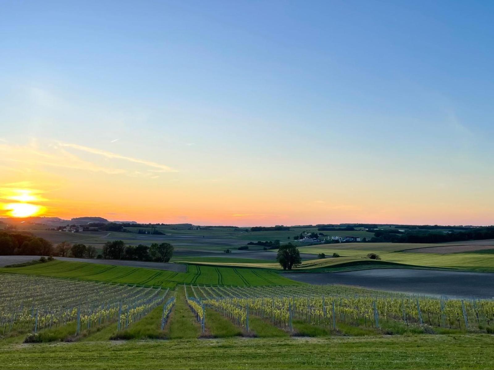Paradis Des Vignes Birac  Номер фото