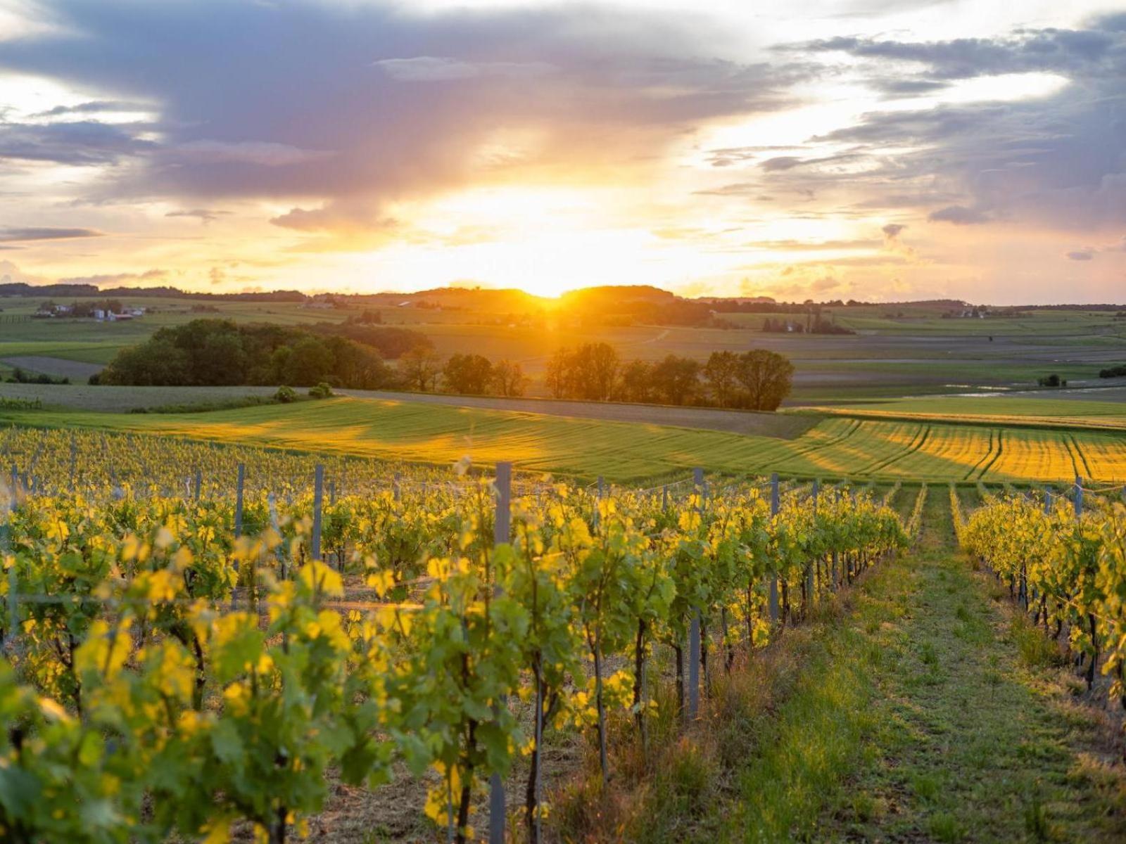 Paradis Des Vignes Birac  Номер фото